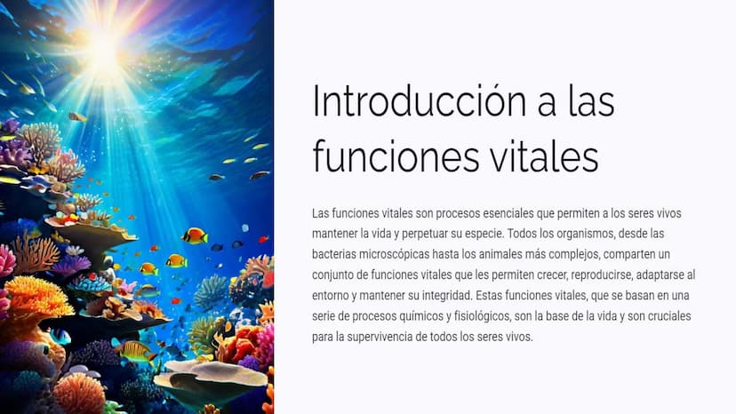 Introducción a las
funciones vitales
Las funciones vitales son procesos esenciales que permiten a los seres vivos
mantener la vida y perpetu