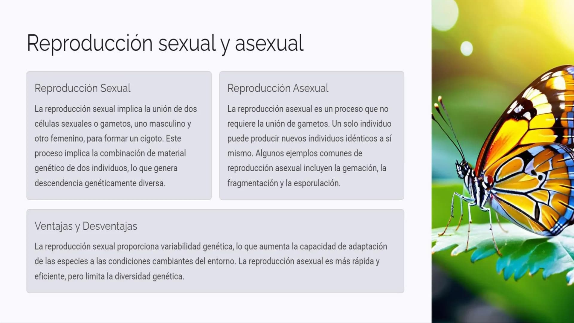 Introducción a las
funciones vitales
Las funciones vitales son procesos esenciales que permiten a los seres vivos
mantener la vida y perpetu