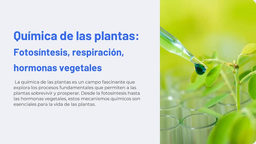 Química de las plantas:
Fotosíntesis, respiración,
hormonas vegetales
La química de las plantas es un campo fascinante que
explora los proce