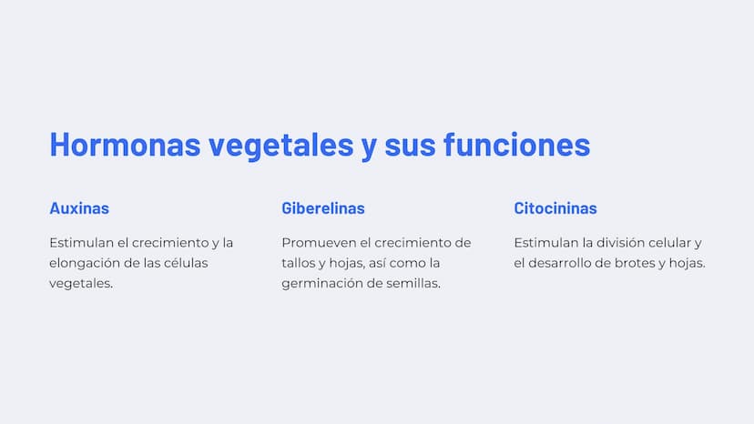 Química de las plantas:
Fotosíntesis, respiración,
hormonas vegetales
La química de las plantas es un campo fascinante que
explora los proce