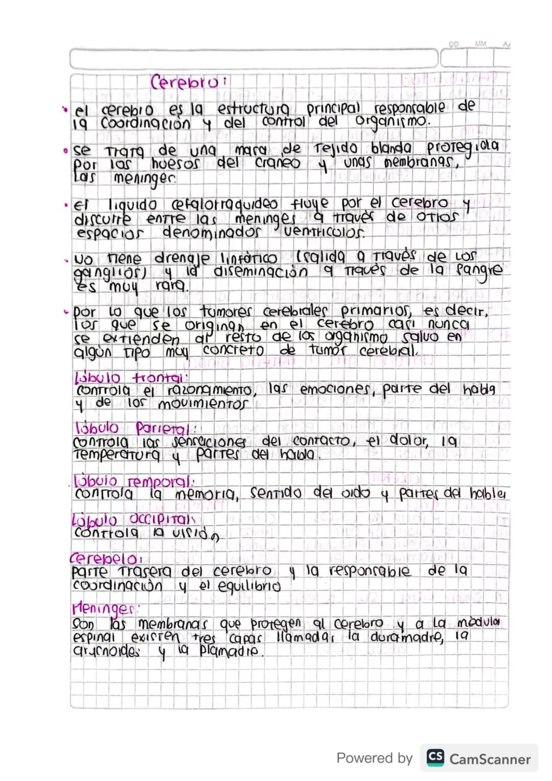 DO MM
Cerebro
el cerebro es la estructura principal responsable de
19 Coordinación y del control del organismo.
• Se trata de una mara de Te