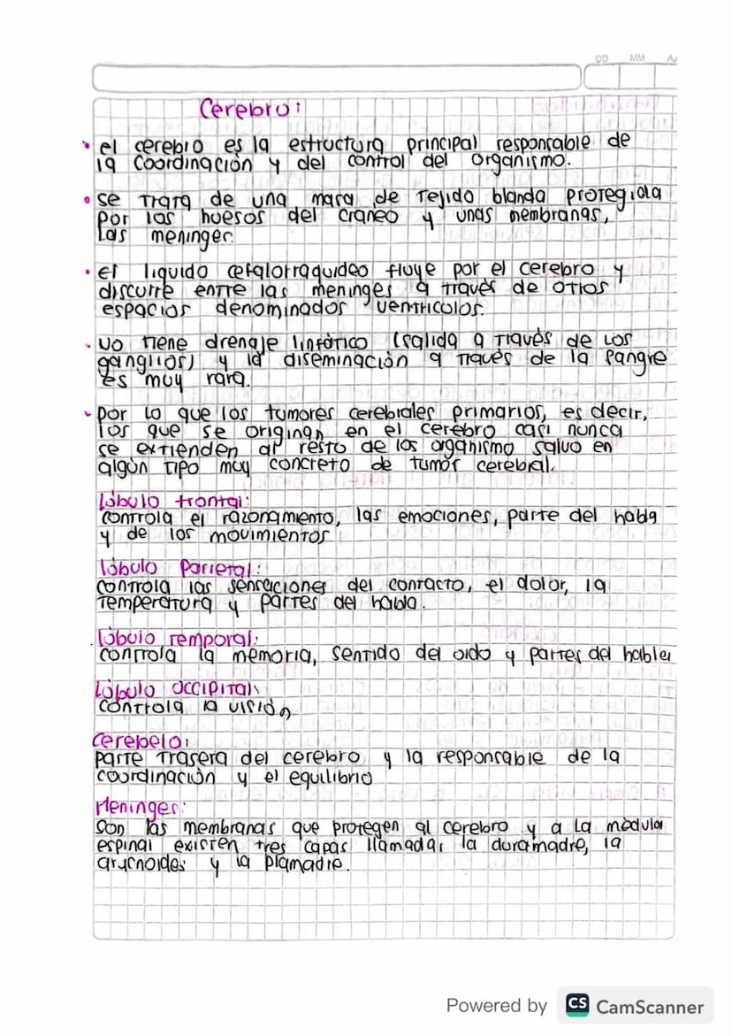 DO MM
Cerebro
el cerebro es la estructura principal responsable de
19 Coordinación y del control del organismo.
• Se trata de una mara de Te