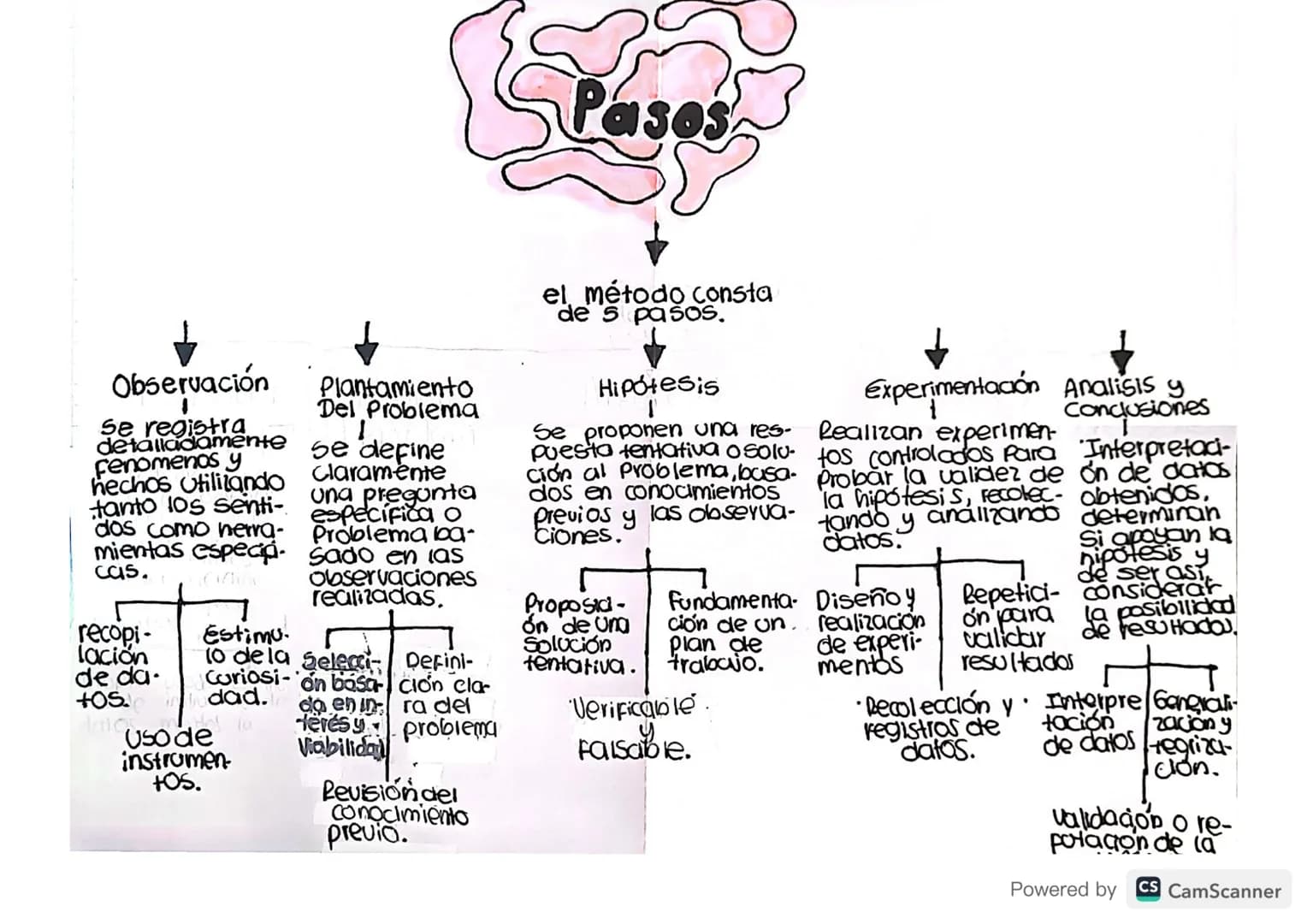 Pases
Observación Plantamiento
Se registra
detalladamente
Fenomenos y
hechos utilizando
tanto los senti-
dos como herra-
mientas especia.
ca