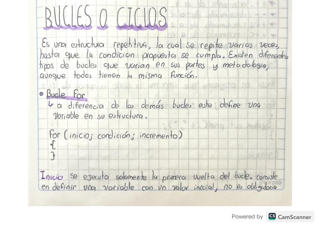 Bucles o ciclos