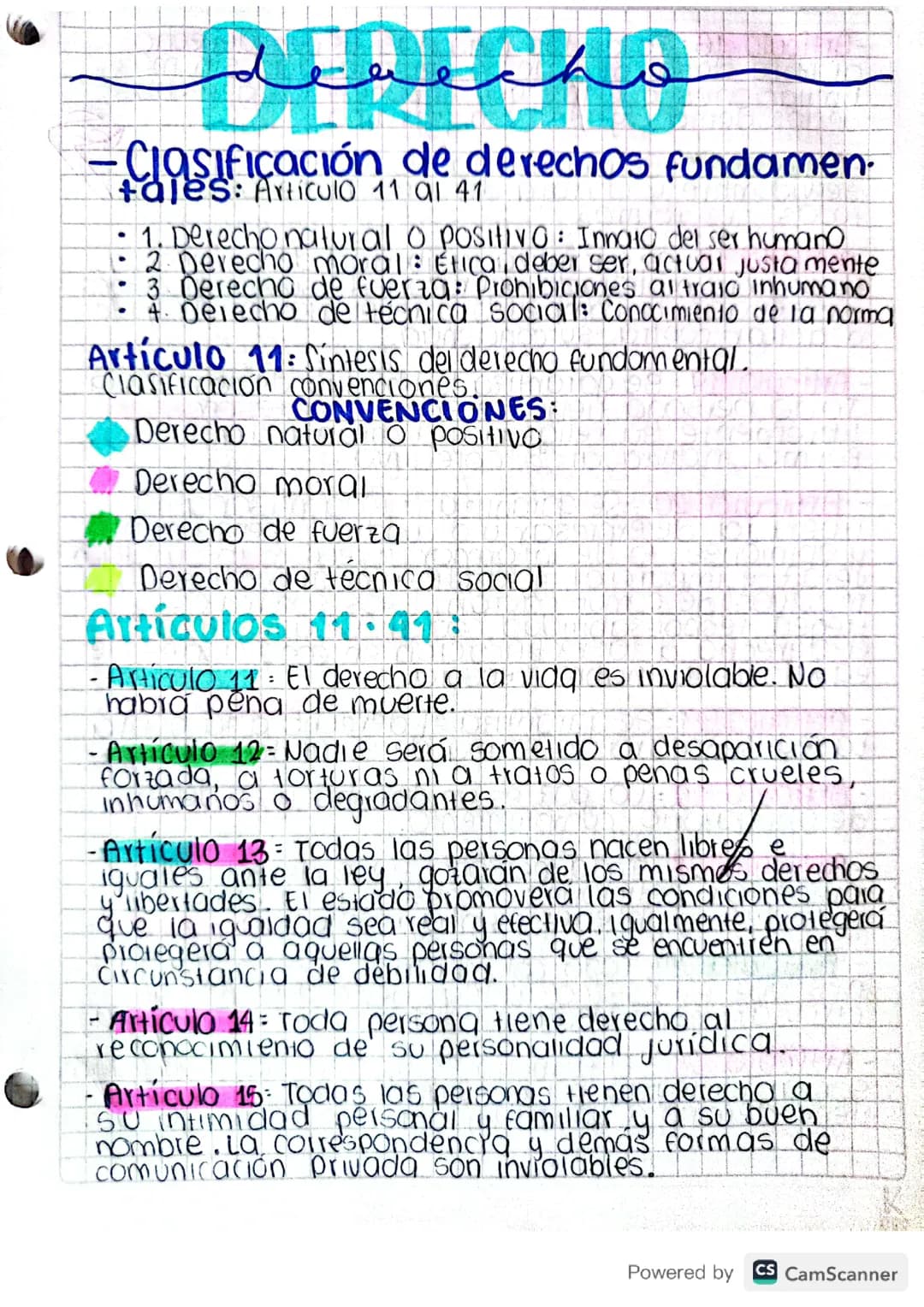 CONSTITUCIÓN - DERECHOS FUNDAMENTALES