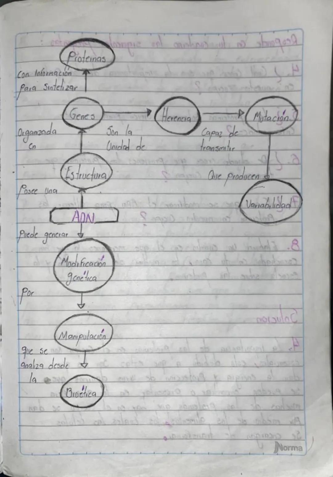 Proteinas

Con Información
Para Sintetizar

Digamzada
Cn

Posee una
puede generar

Por

que se
Analiza desde
la

Genes

Estructura

APN

Mod