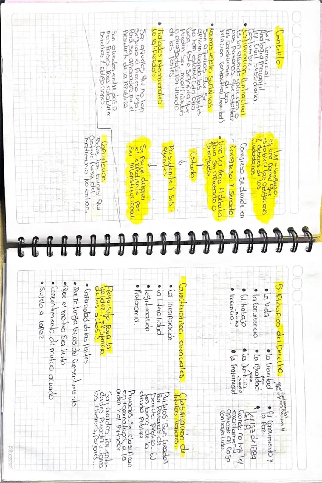 --- OCR Start ---
DC Feb 13
HEYDI DAYANA A.C.
Primera
1853-Adopto-codigo Español 1829
1887-Adopto. Codigo stado de Panama
Lay 75/1916-Chesqu