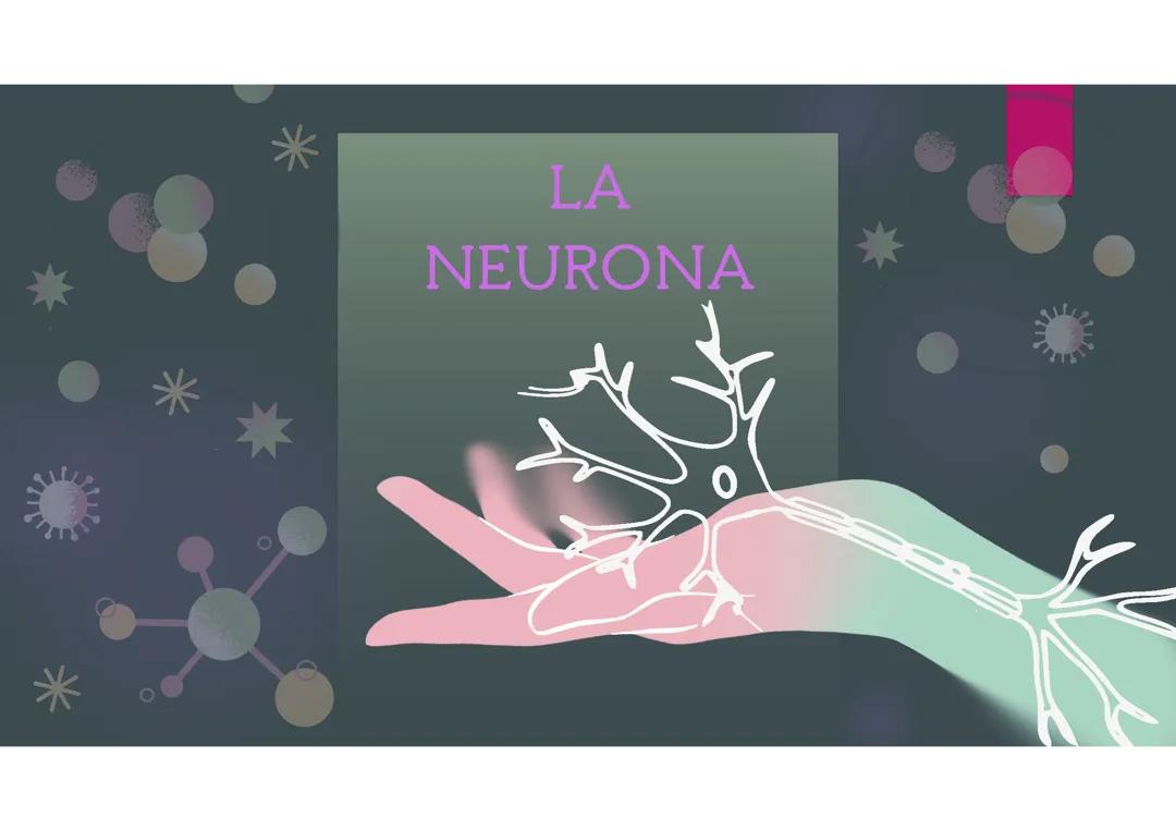 Neurociencia y Celebraciones: Presentación en Inglés y Biología