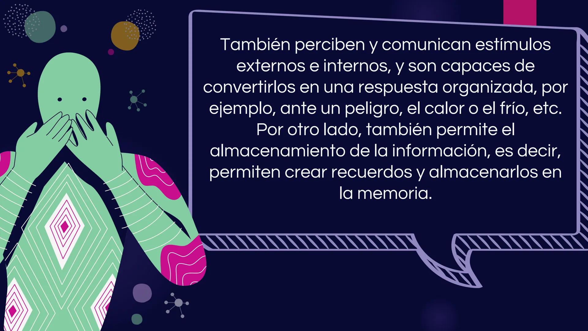 LA
NEURONA *
Las neuronas
Las neuronas son células altamente
especializadas, que controlan las
funciones voluntarias e involuntarias
del org