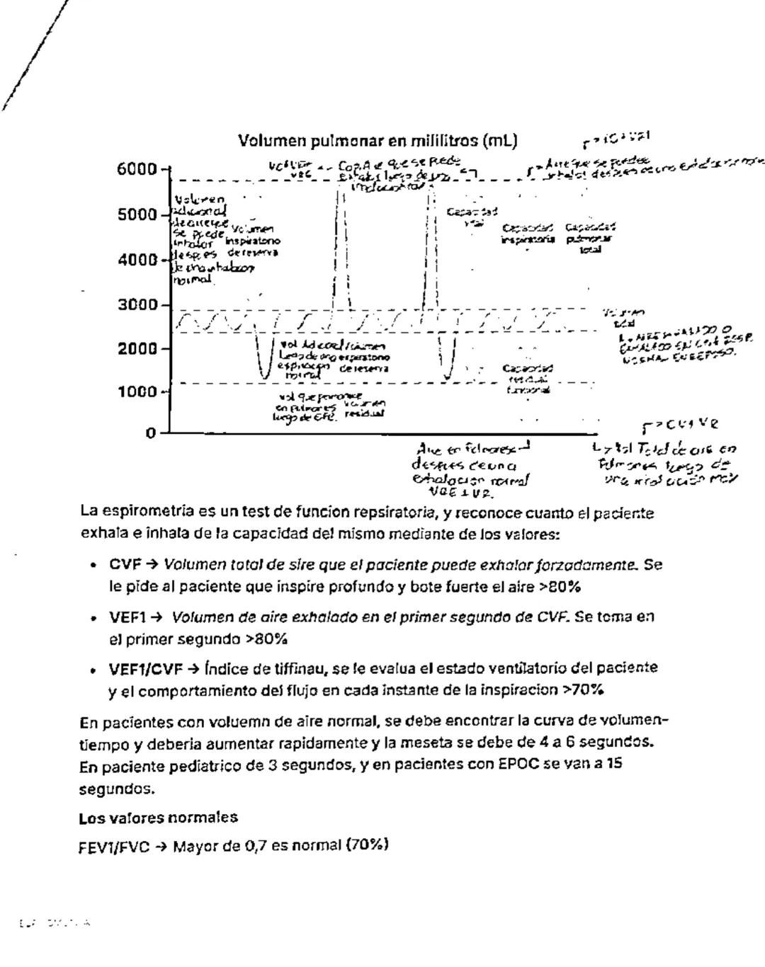 ESPIROMETRÍA

Course	Función Cardiovascular y Pulmonar
Last Edited	@May 22, 2024 9:56 PM
RADIOGRAFÍA DE TORAX → Ventilación
GASES ARTERIALES
