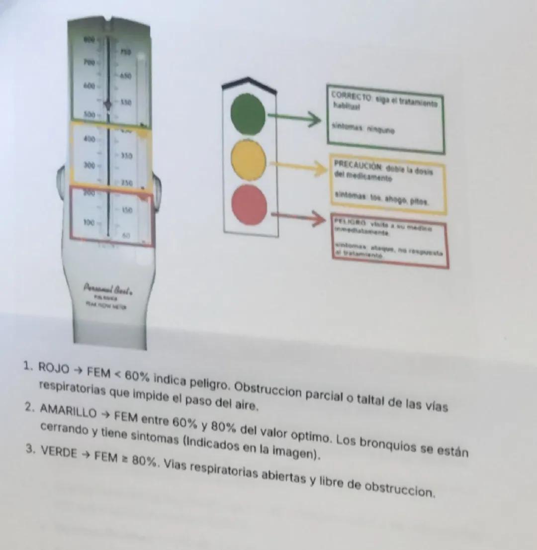 ESPIROMETRÍA

Course	Función Cardiovascular y Pulmonar
Last Edited	@May 22, 2024 9:56 PM
RADIOGRAFÍA DE TORAX → Ventilación
GASES ARTERIALES