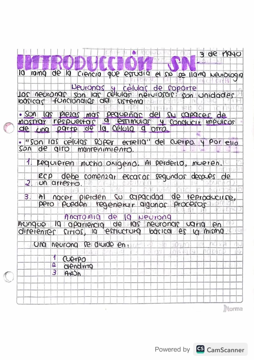 0
INTRODUCCIÓN SN
3 de 1940
10 rama de la ciencia que estudia el si se llama Neurologia
Deuronas celulas de soporte
Jos neuronas son las cél