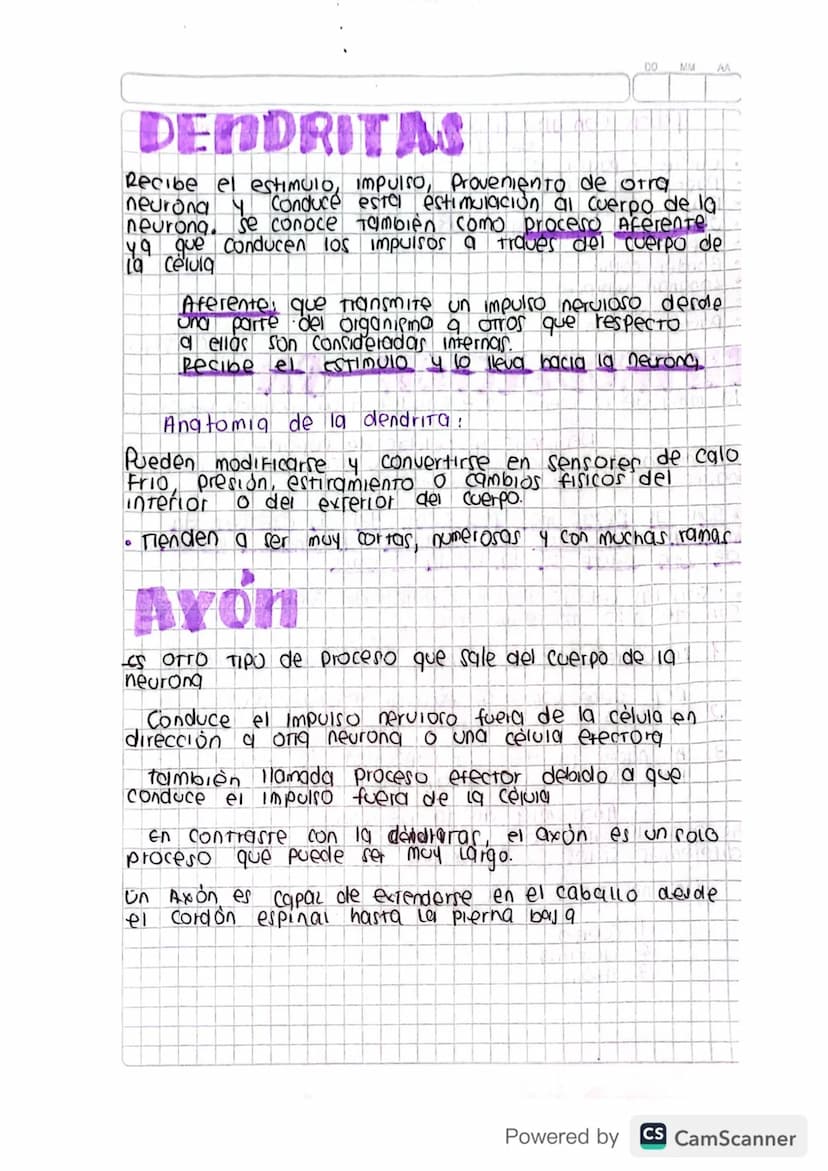 0
INTRODUCCIÓN SN
3 de 1940
10 rama de la ciencia que estudia el si se llama Neurologia
Deuronas celulas de soporte
Jos neuronas son las cél