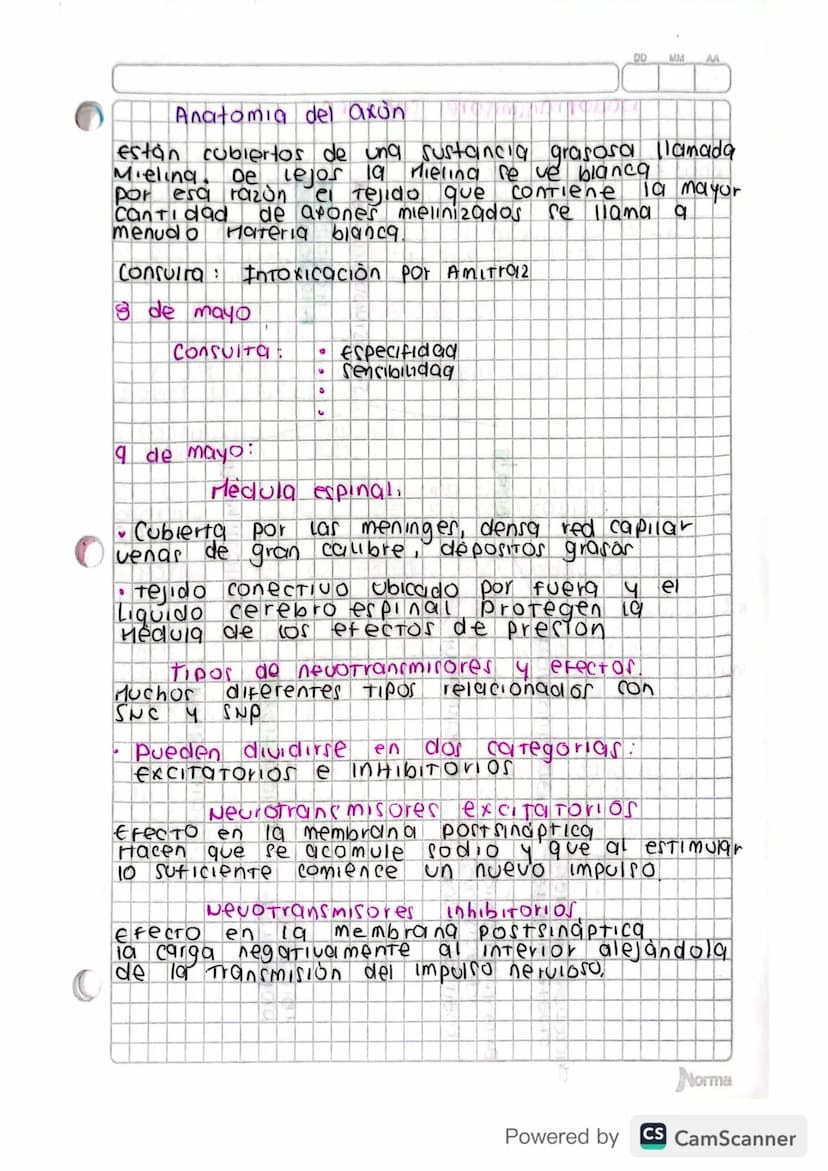 0
INTRODUCCIÓN SN
3 de 1940
10 rama de la ciencia que estudia el si se llama Neurologia
Deuronas celulas de soporte
Jos neuronas son las cél