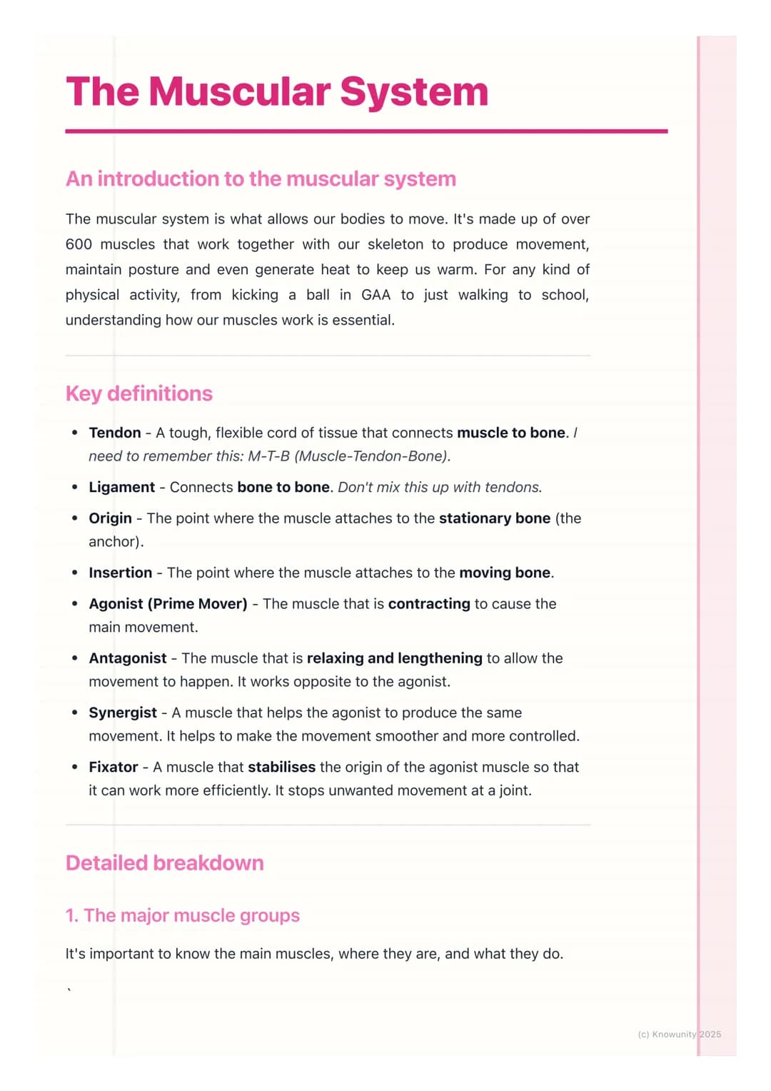 # The Muscular System

An introduction to the muscular system

The muscular system is what allows our bodies to move. It's made up of over
6