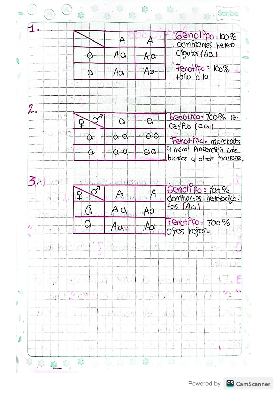 Conceptos de genetica.
Genotipo = Todo el tipo de genes de un organ's-
mo
Fenotipo
Observables.
Expresión de los gen es 4 que son
Alejo = Ca