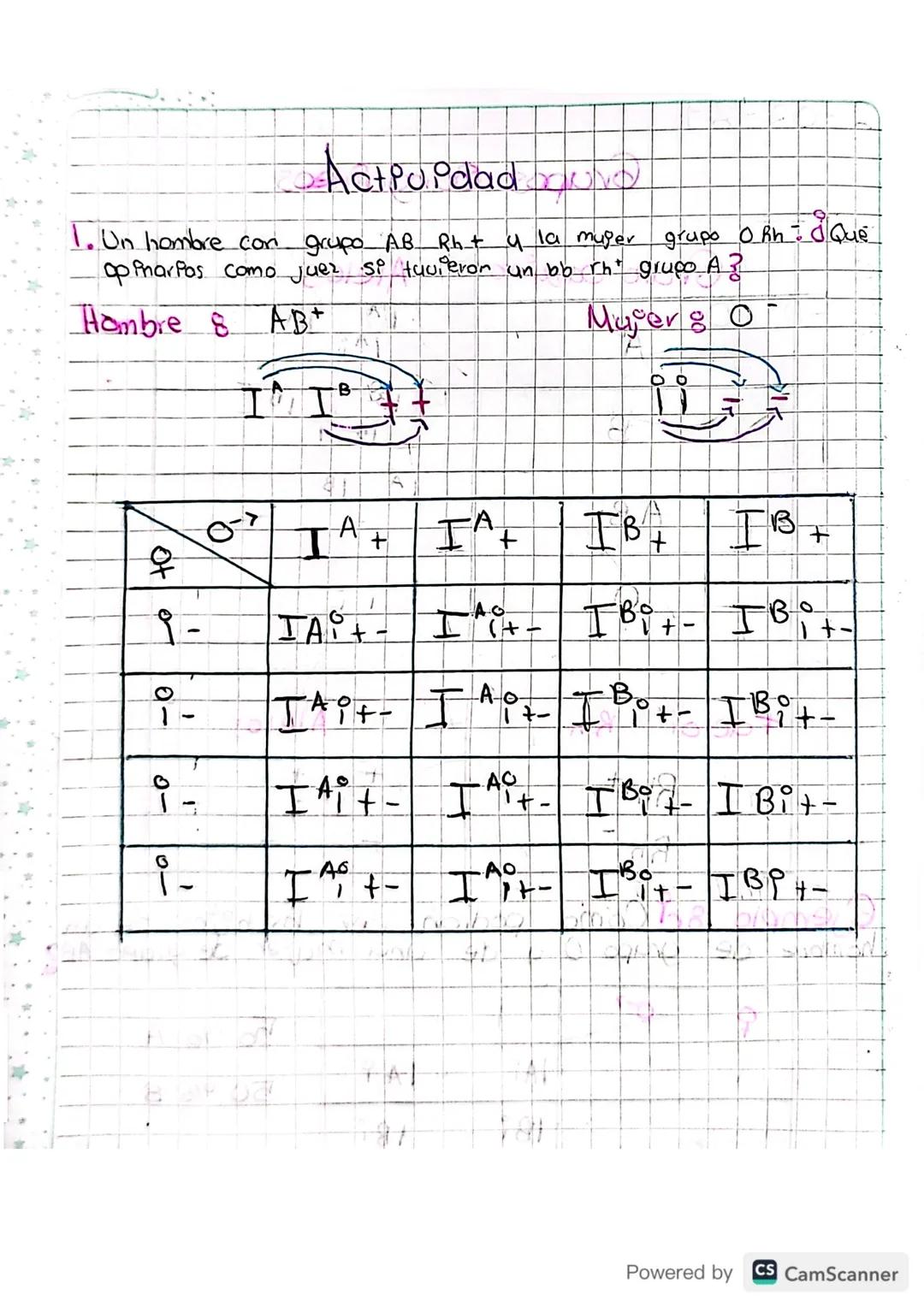 Grupos: Sanguineos
Grupo Sanguineo
A
Alelos
1 A
Ai
B
to.
161
A
18
AB
A
Ο
C
Facter Bh
Bht
Bh
A
Ejemplo 8d Cómo podroń
Alelos
+
+
+
ser las hi