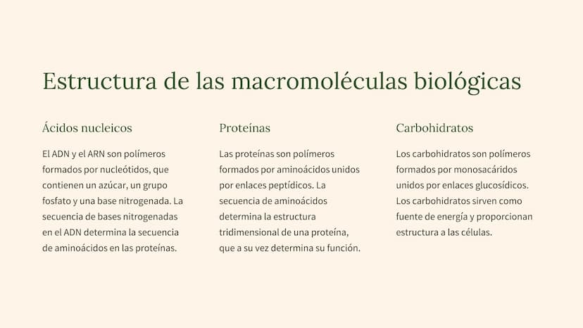 biología molecular
La biología molecular es una rama de la biología que estudia la
estructura y función de las moléculas biológicas, como el
