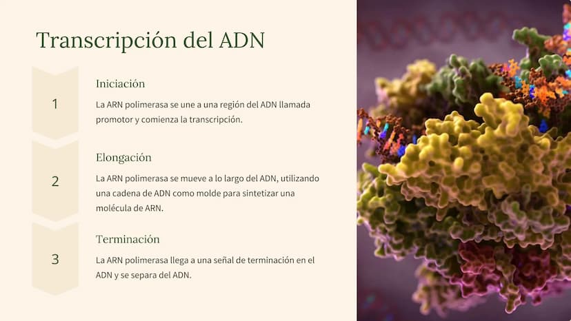 biología molecular
La biología molecular es una rama de la biología que estudia la
estructura y función de las moléculas biológicas, como el
