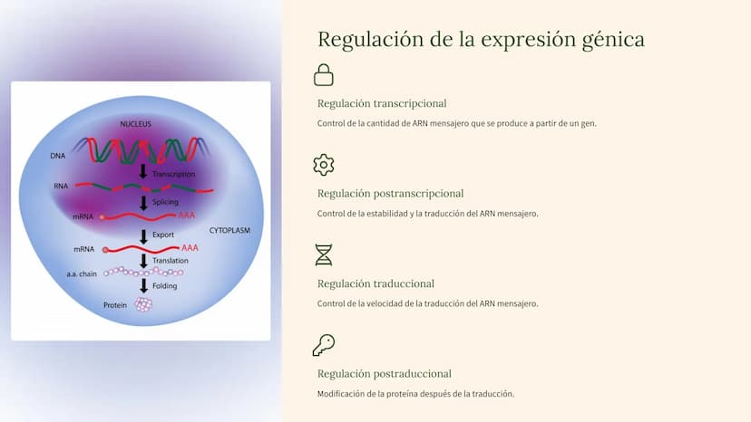 biología molecular
La biología molecular es una rama de la biología que estudia la
estructura y función de las moléculas biológicas, como el