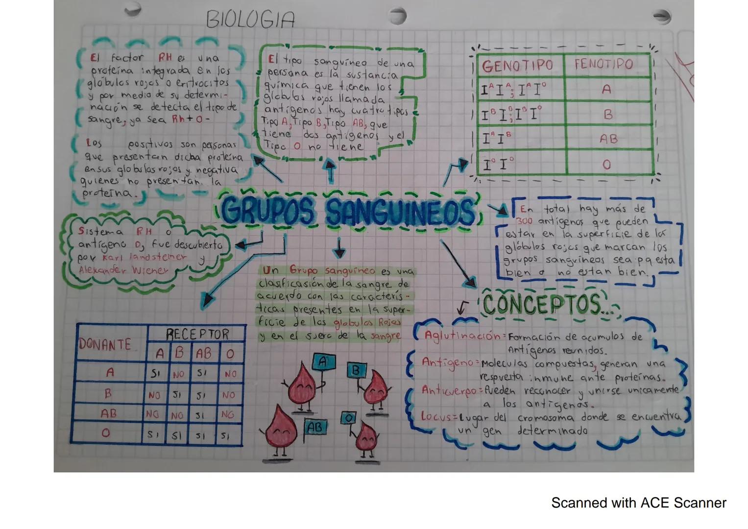 El factor RH es
BIOLOGIA
649
proteina integrada en los
(globulos rojos o eritrocitos
y por medio de su determi-
nación se detecta el tipo de