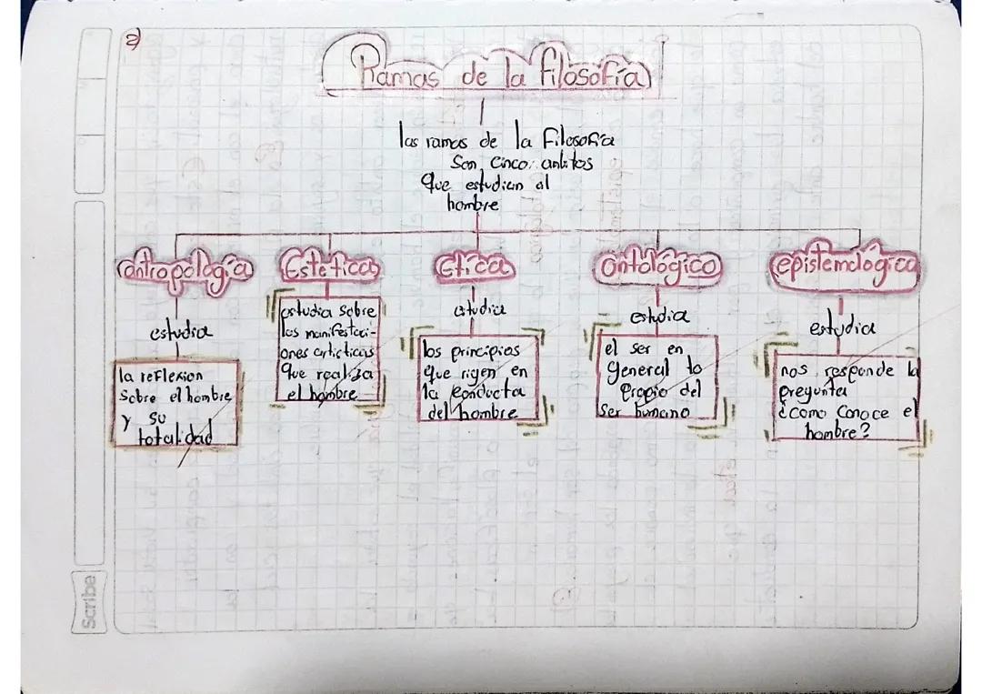 Ramas de la filosofía 