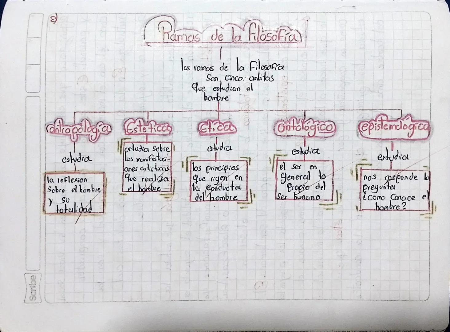 Scribe
2
Ramas de la filosofial
Contropologia Estéticas
1
Tas ramas de la Filosofia
Son, Cinco ankitos
que estudian al
hombre
Chica
estudia
