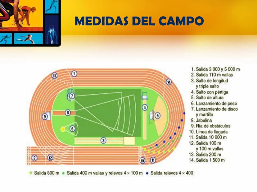 $ 5
✓ ATLETISMO •
Es considerado el deporte organizado más antiguo del mundo.
Abarca numerosas disciplinas agrupadas en carreras, saltos,
la
