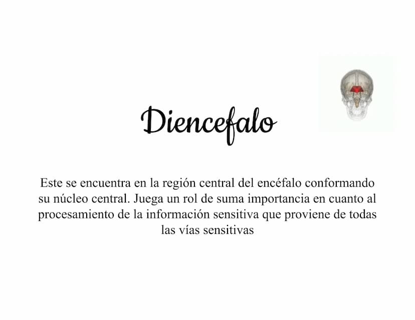 Mesencéfalo
Interviene en el control
de los movimientos
oculares, en el control
de
los músculos
esqueléticos y en los
núcleos del sistema
vi