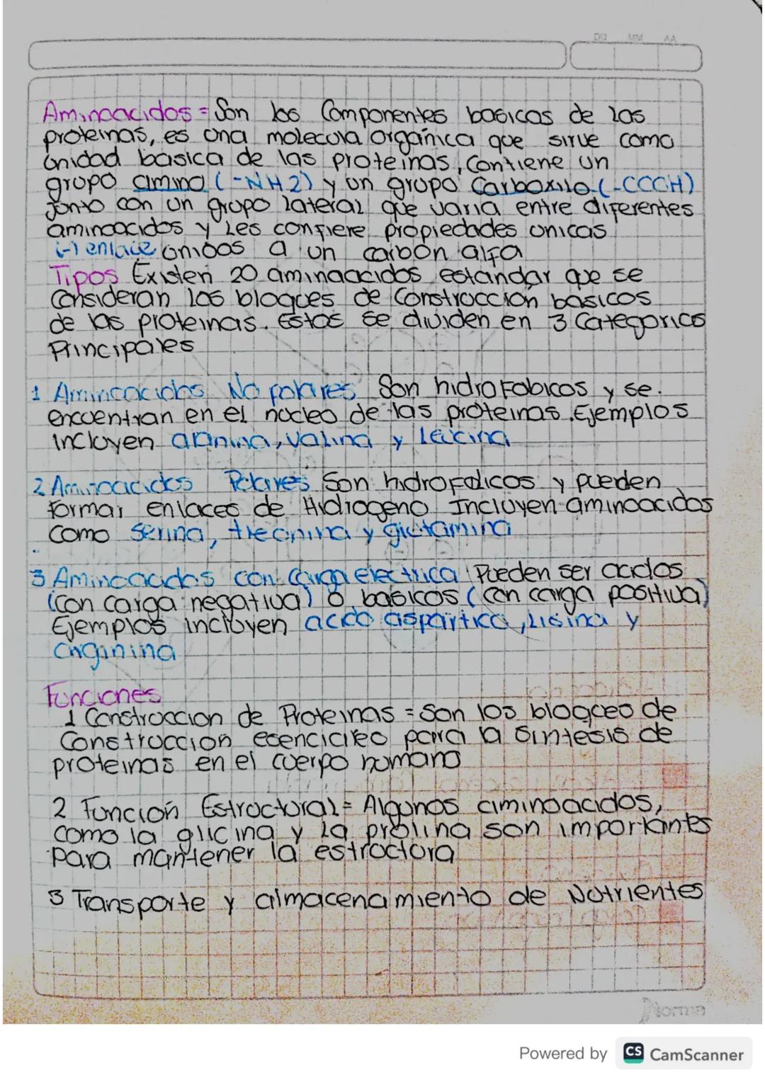 Aminoacidos Son los Componentes basicas de 205
proteinas, es una molecula organica que sirve como
Onidad basica de las proteinas, Contiene u