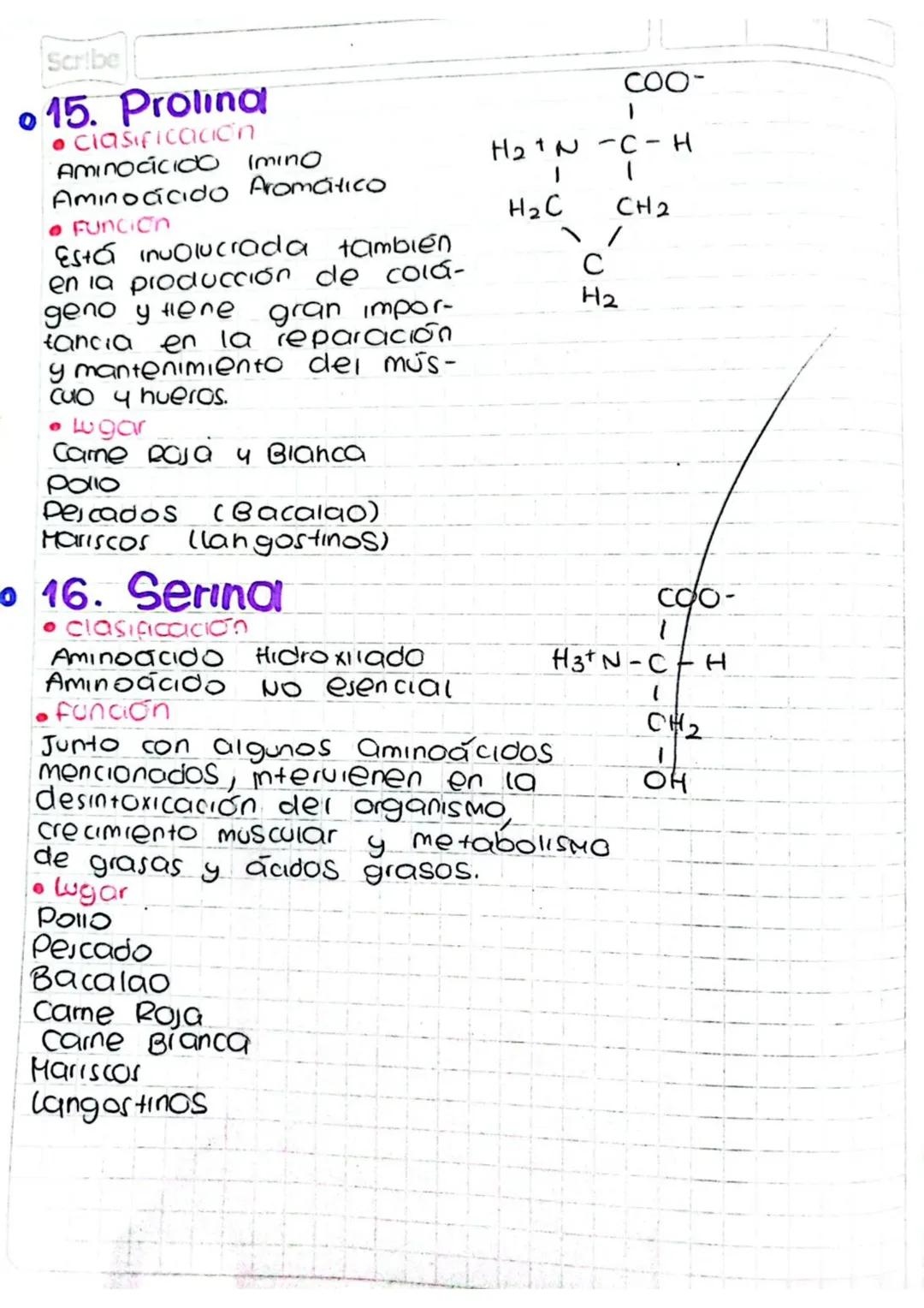 Scribe
。15. Prolina
• clasificacion
Aminocicido
Imino
Aminoácido Aromático
• Funcion
Está involucrada también
en la producción de cola-
дело