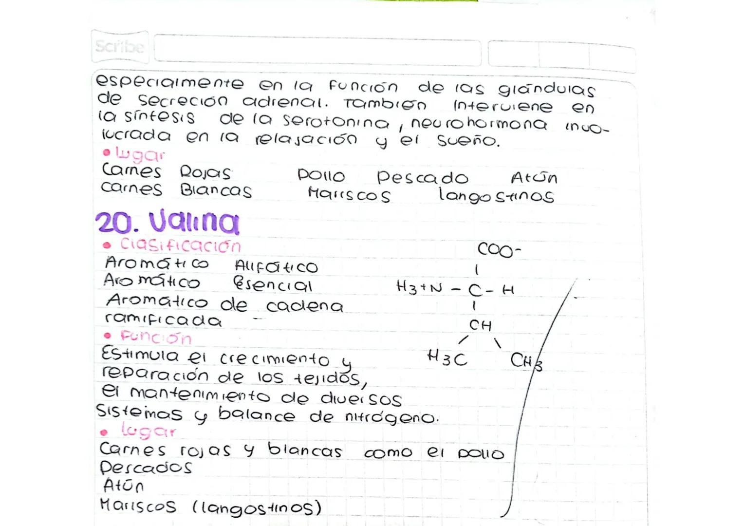 Scribe
。15. Prolina
• clasificacion
Aminocicido
Imino
Aminoácido Aromático
• Funcion
Está involucrada también
en la producción de cola-
дело