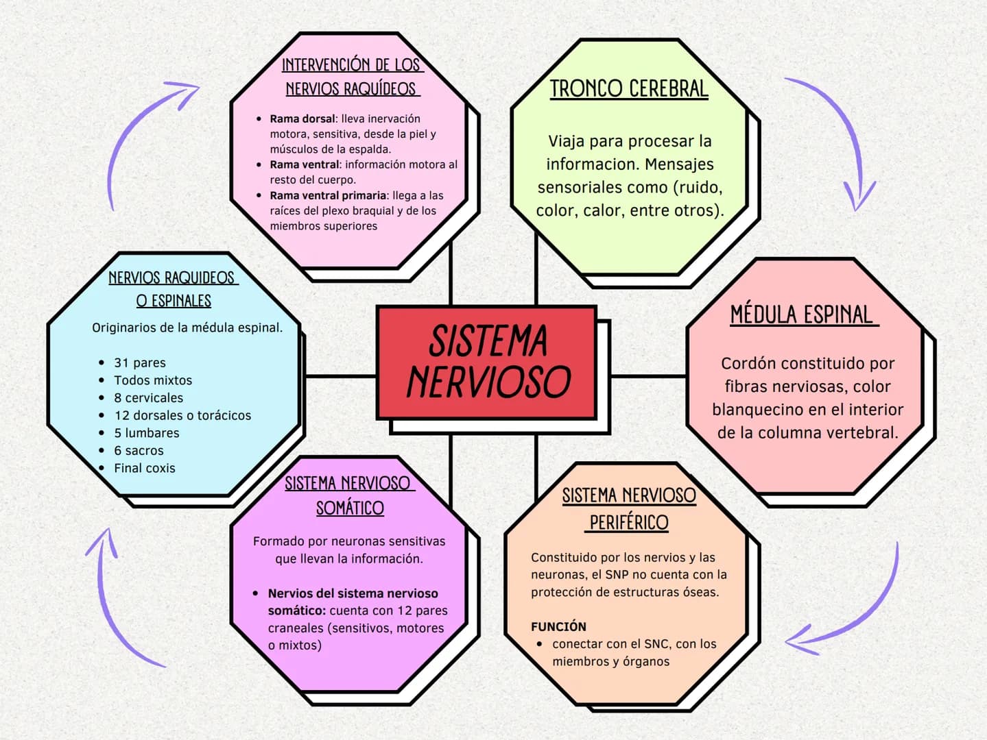 CEREBELO
Coordina los
movimientos derecha e
izquierda. Velocidad,
fuerza y amplitud de los
mismos.
CONCEPTO
Sistema de control que regula
la