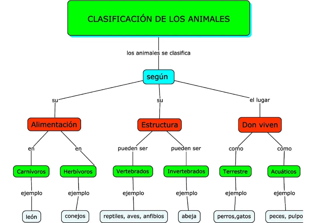 Mapas sobre la clasificacion de los animales