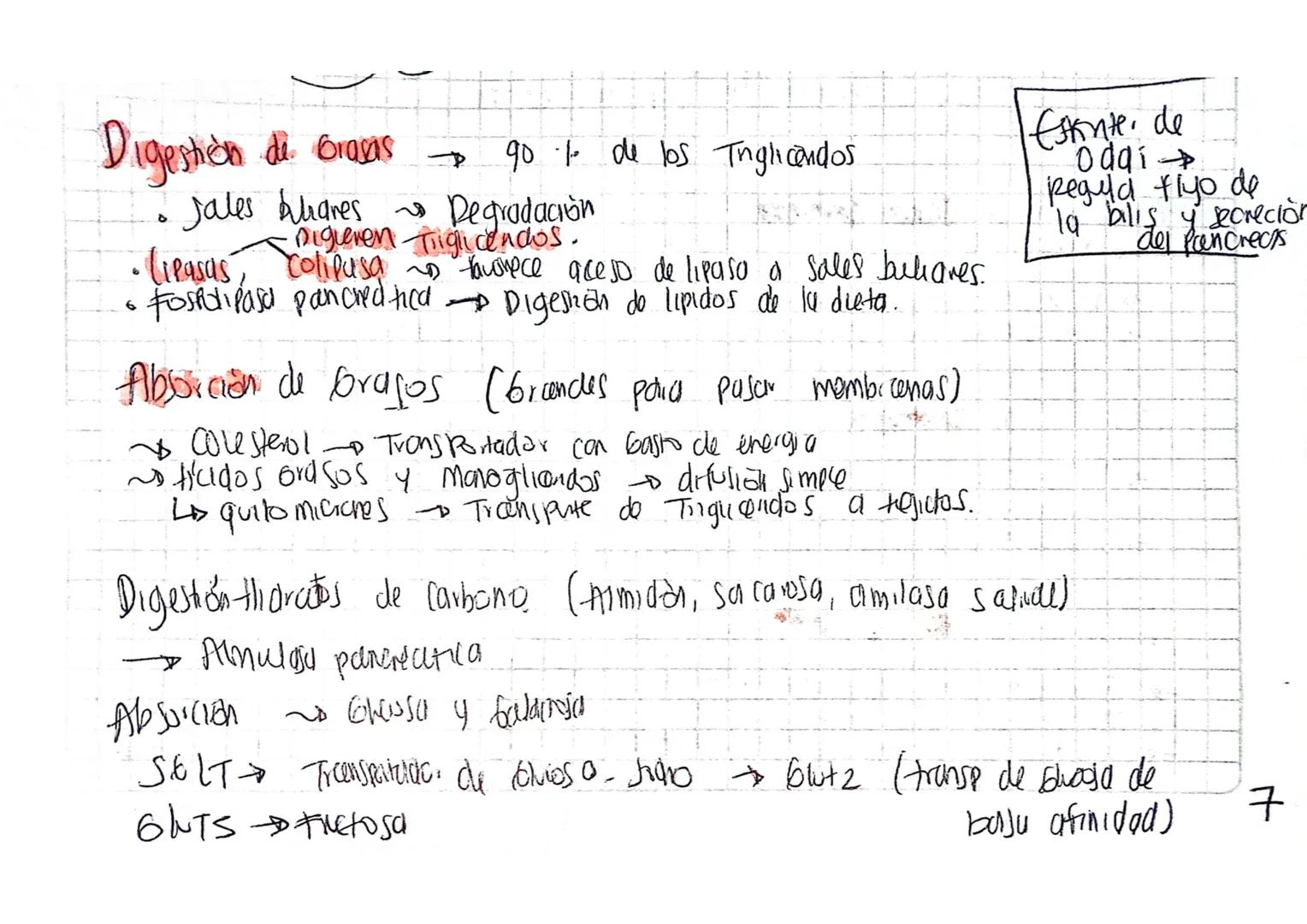 Digestión de Grasas
ه
Jales bhanes
$
rightarrow$
90% de los Tnglicandos
Degradación
Digieren Triglicendos.
•Cipasas, colipusa favorece aceso