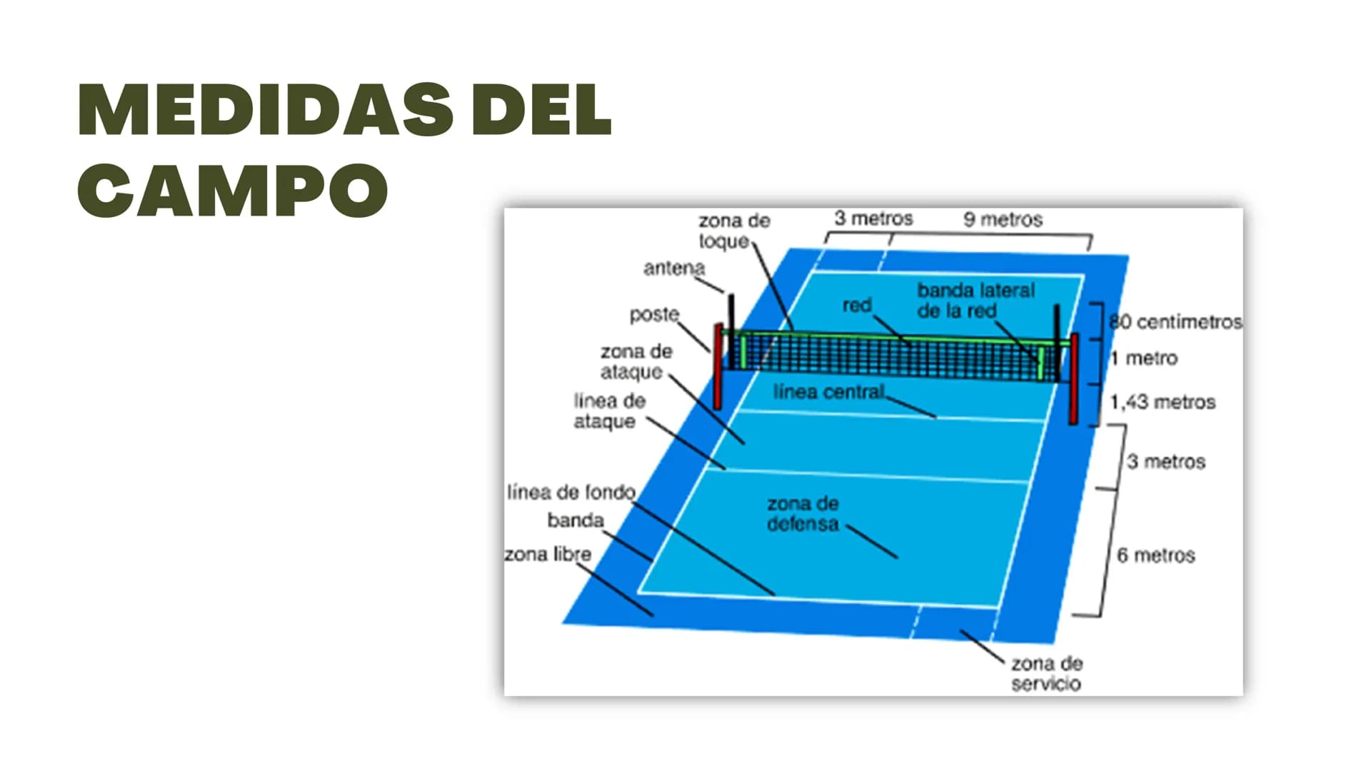 VOLEIBOL
03 01
Es un deporte que se juega con una pelota y
en el que dos equipos, integrados por seis
jugadores cada uno, se enfrentan sobre