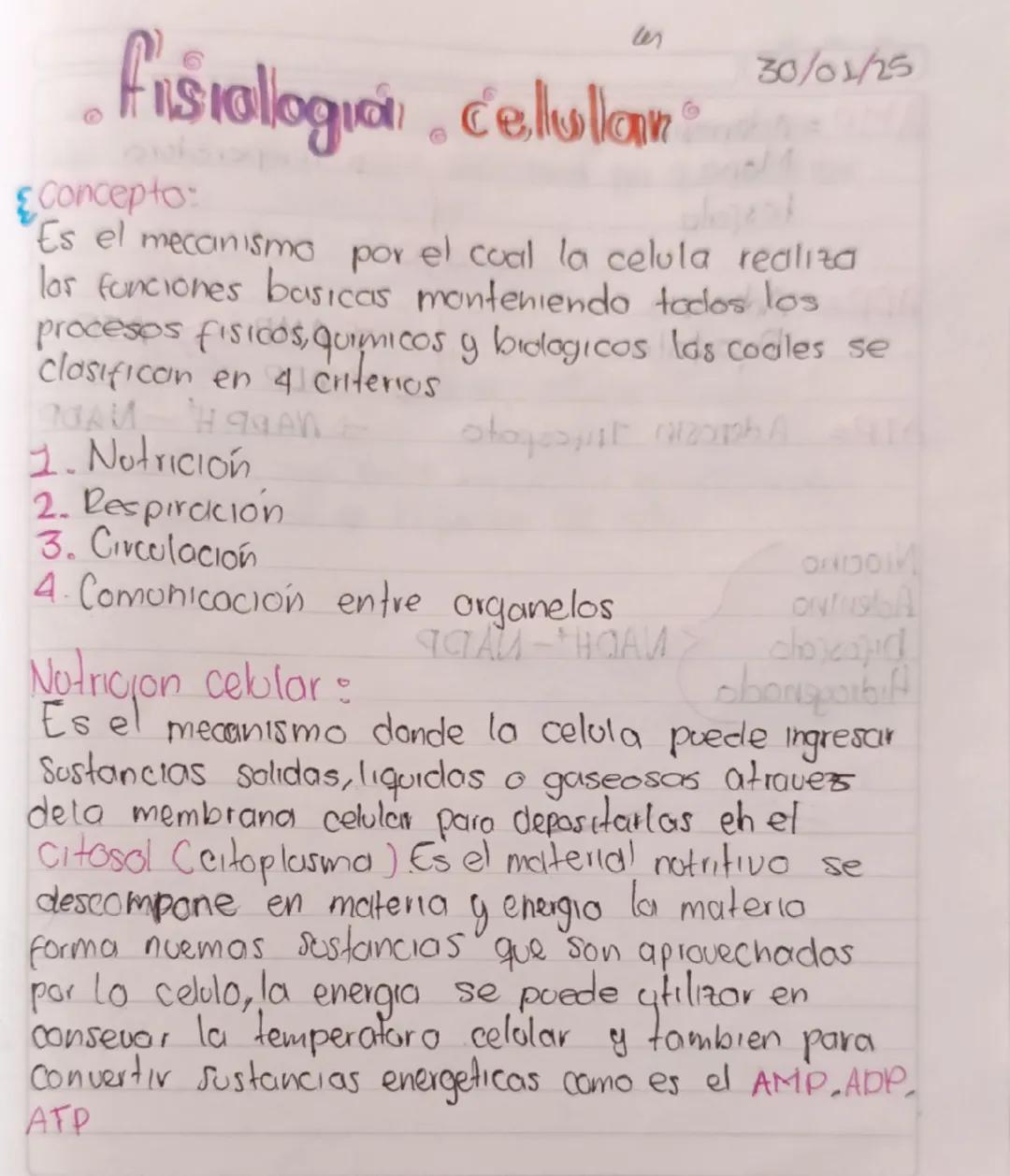 len
30/01/25
# fisiallogian cellular

&concepto:
Es el mecanismo por el cual la celula realiza
los funciones basicas manteniendo todos los
p