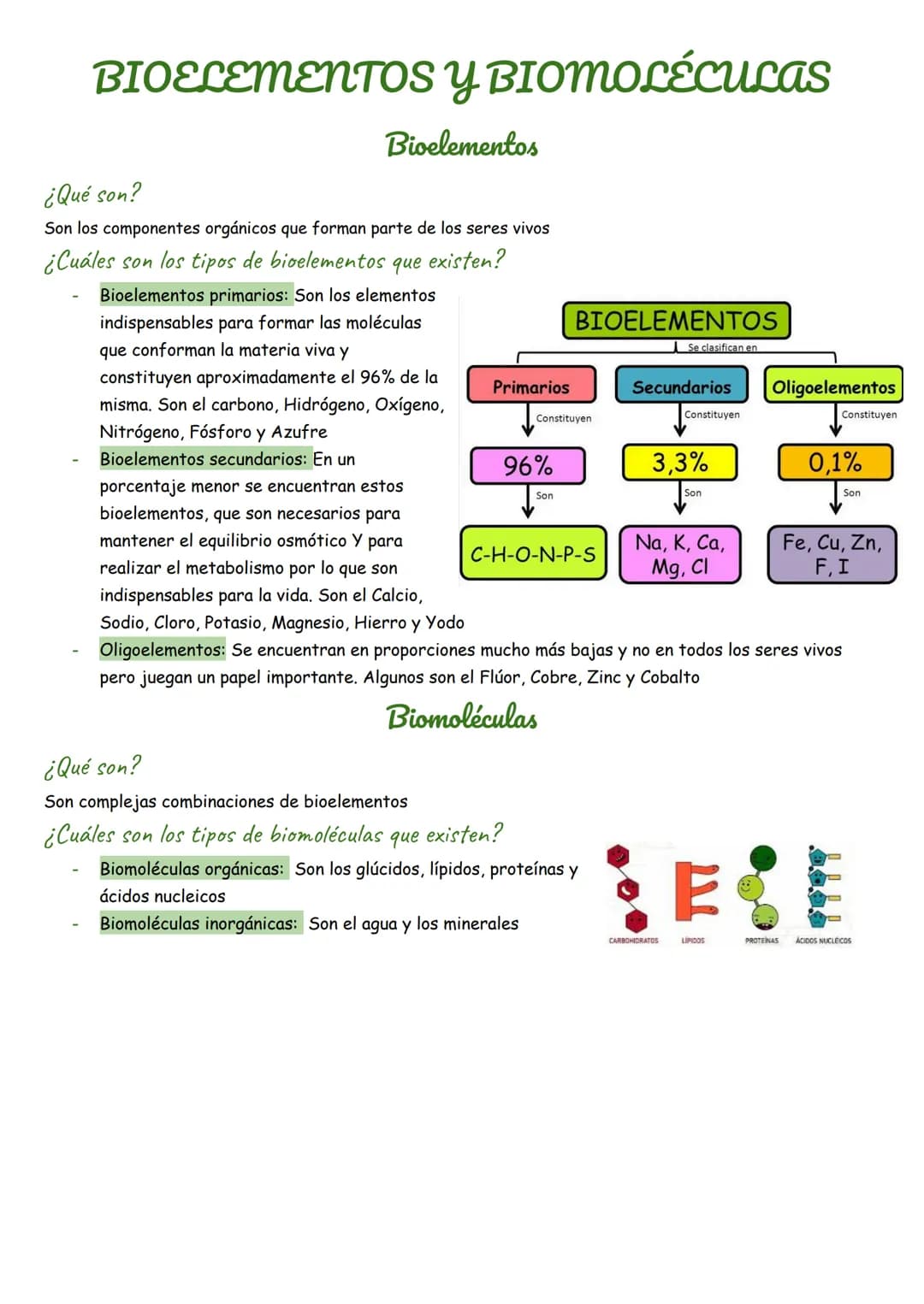 BIOELEMENTOS Y BIOMOLÉCULAS
Bioelementos
¿Qué son?
BIOELEMENTOS
Se clasifican en
Son los componentes orgánicos que forman parte de los seres
