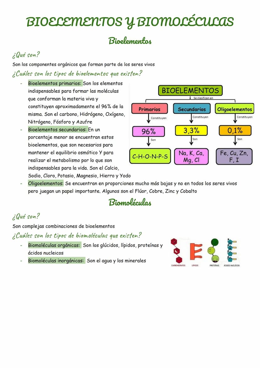 BIOELEMENTOS Y BIOMOLÉCULAS
Bioelementos
¿Qué son?
BIOELEMENTOS
Se clasifican en
Son los componentes orgánicos que forman parte de los seres