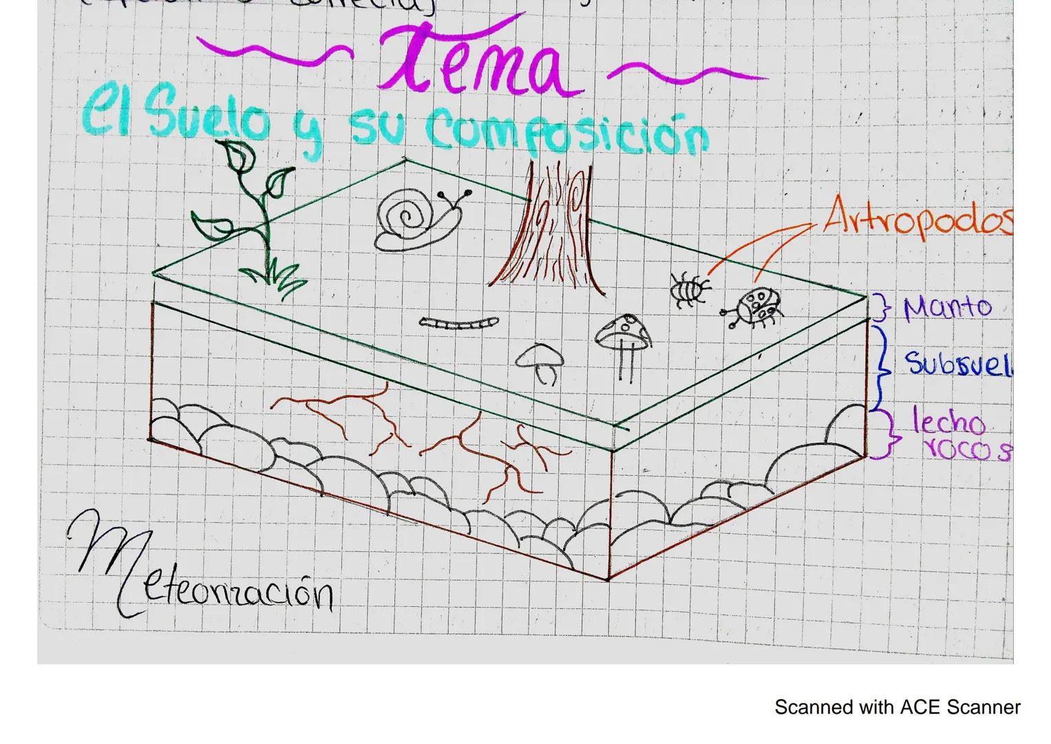 tena
el Suelo y su composición
Ra
Artropodos
Manto
Subsuel
lecho
YOCOS
M
Ceteorización
Scanned with ACE Scanner