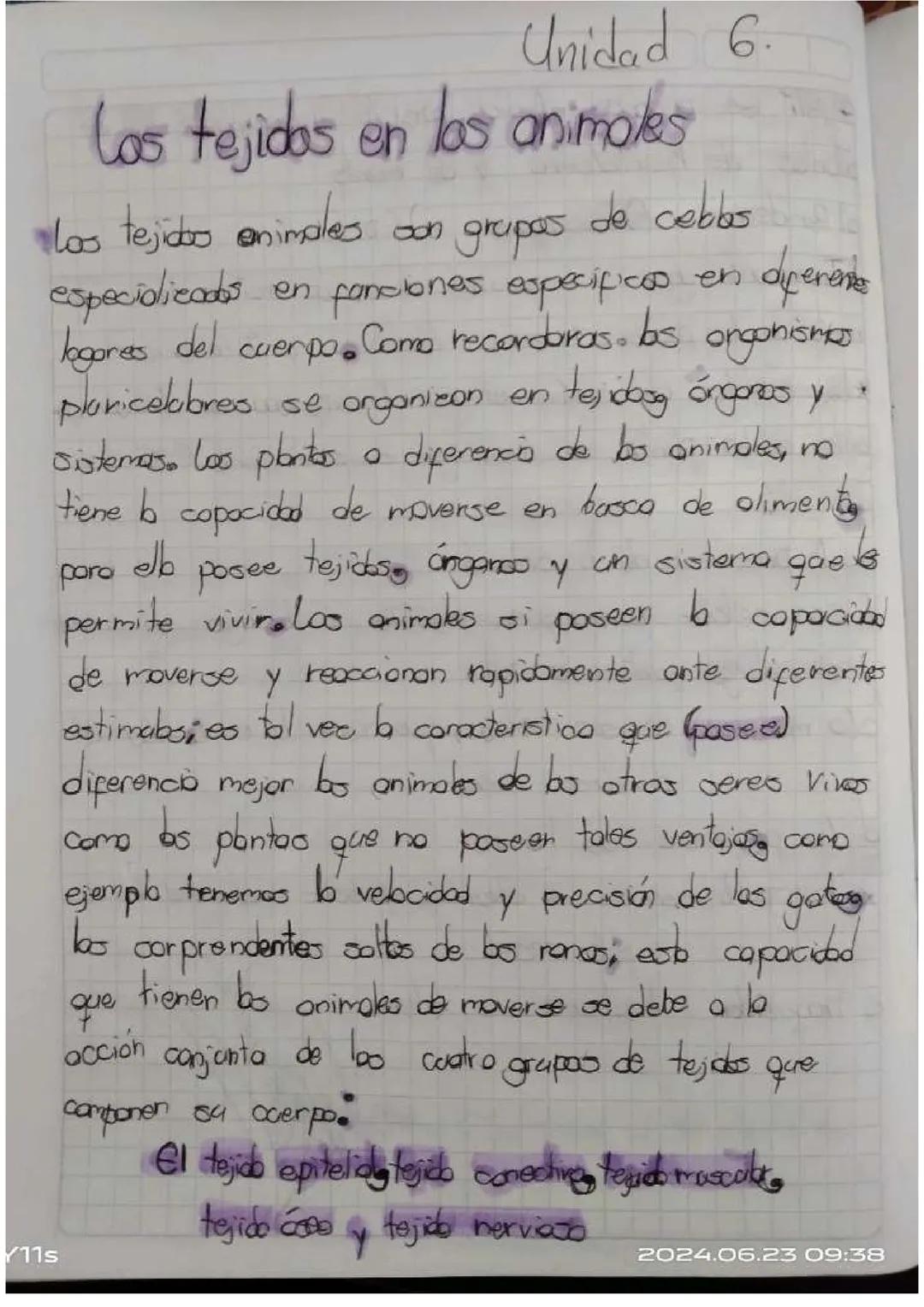 Los tejidos en los animales