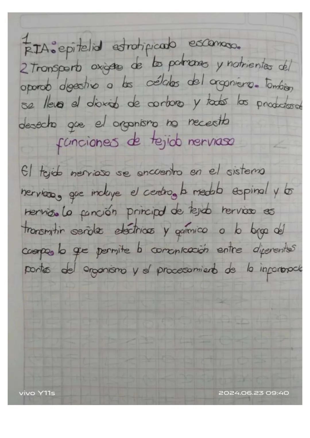 Y11s
Unidad 6
Las tejidos en las animals
los tejidos animales
son grapes
88N
de cebles
especializados
en fanciones especificos en
diperens
l
