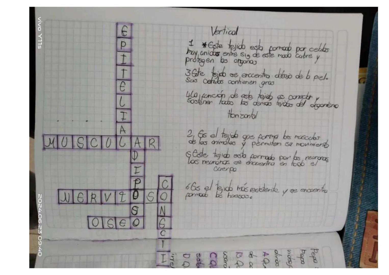 Y11s
Unidad 6
Las tejidos en las animals
los tejidos animales
son grapes
88N
de cebles
especializados
en fanciones especificos en
diperens
l