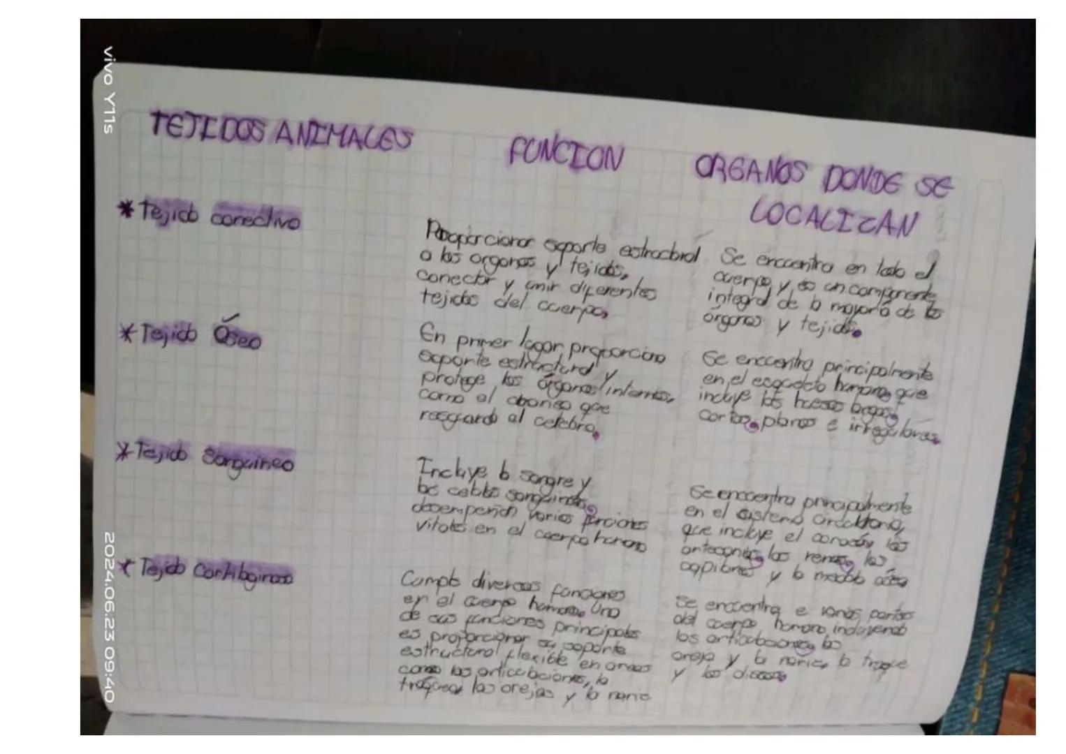 Y11s
Unidad 6
Las tejidos en las animals
los tejidos animales
son grapes
88N
de cebles
especializados
en fanciones especificos en
diperens
l