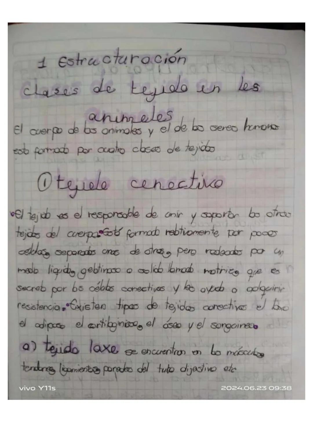 Y11s
Unidad 6
Las tejidos en las animals
los tejidos animales
son grapes
88N
de cebles
especializados
en fanciones especificos en
diperens
l