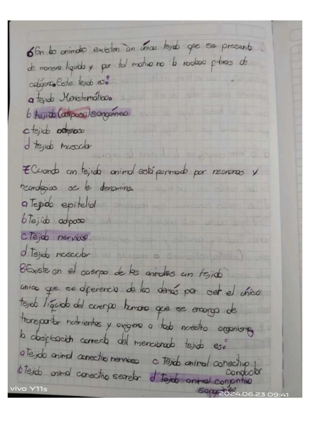 Y11s
Unidad 6
Las tejidos en las animals
los tejidos animales
son grapes
88N
de cebles
especializados
en fanciones especificos en
diperens
l