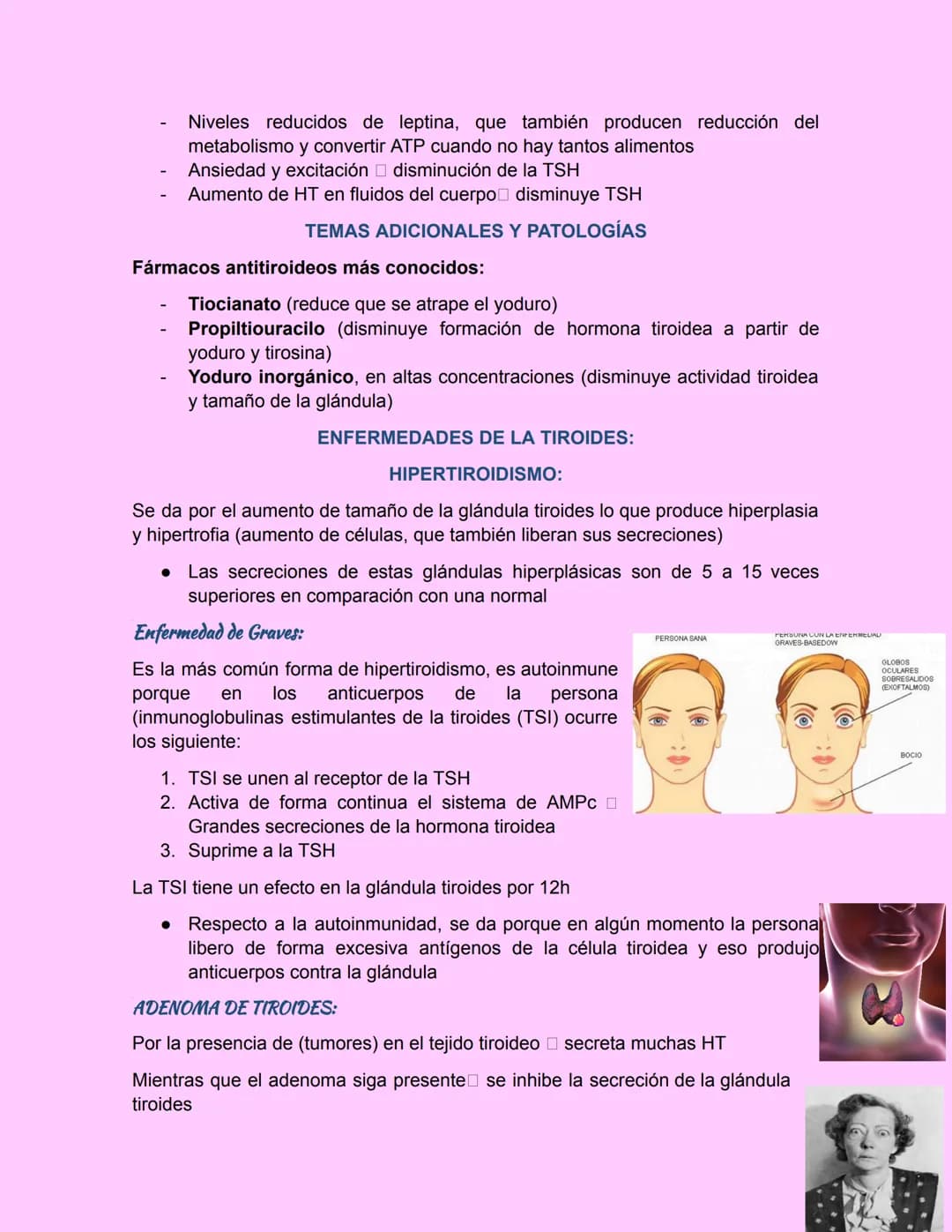 GLÁNDULA TIROIDES
Esta glándula esta ubicada debajo de laringe y a los lados de la tráquea
• Es grande, pesa de 15-20g en adultos
•
principa