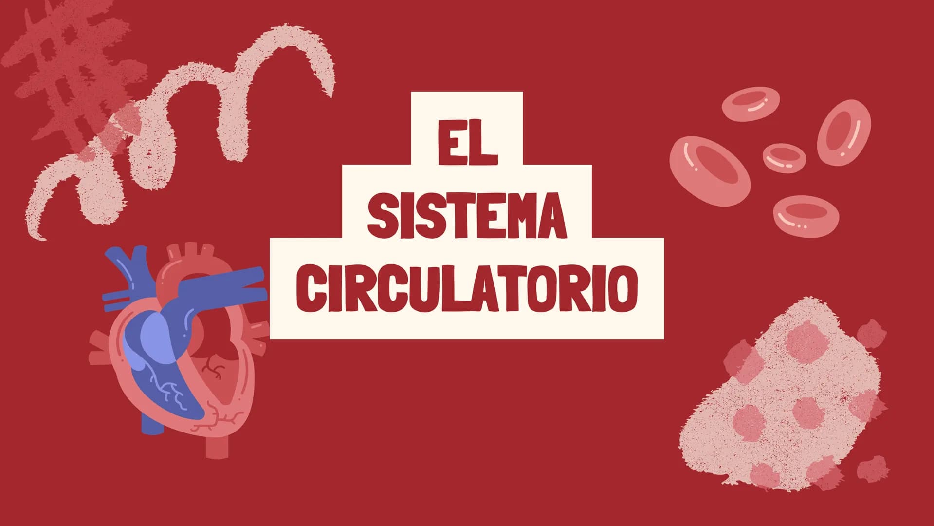 m
EL
SISTEMA
CIRCULATORIO Funciones del sistema circulatorio
• Transporte de oxígeno
•Transporte de nutrientes
•
.
• Transporte de hormonas
