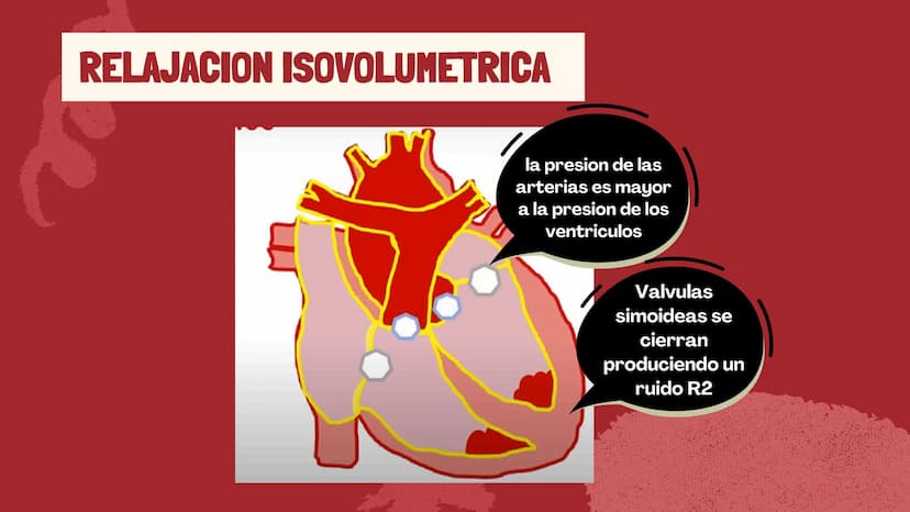 m
EL
SISTEMA
CIRCULATORIO Funciones del sistema circulatorio
• Transporte de oxígeno
•Transporte de nutrientes
•
.
• Transporte de hormonas
