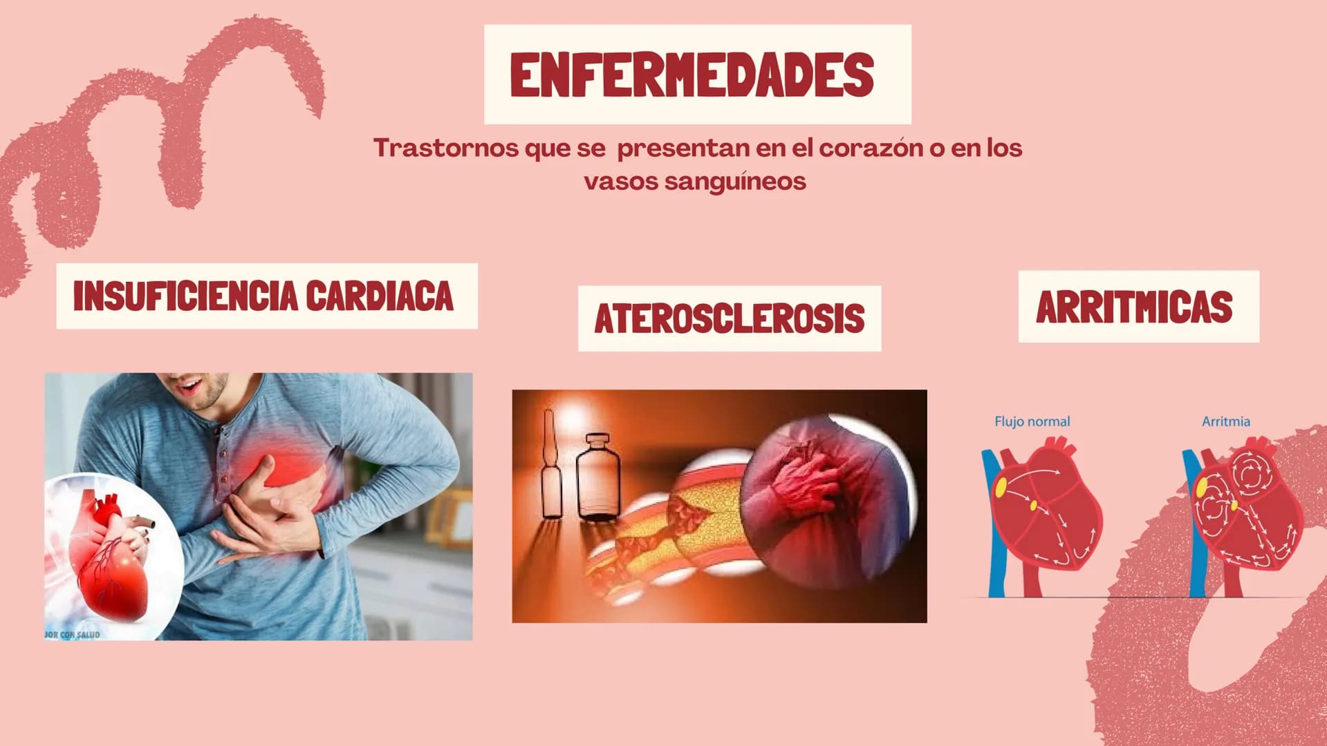 m
EL
SISTEMA
CIRCULATORIO Funciones del sistema circulatorio
• Transporte de oxígeno
•Transporte de nutrientes
•
.
• Transporte de hormonas
